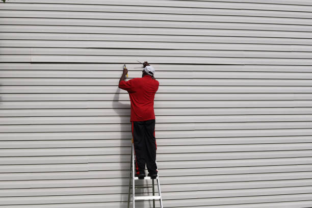 Trusted Tazewell, VA Siding Experts